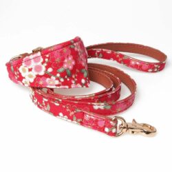 Dog Collar With Bow - pawsandtails.pet