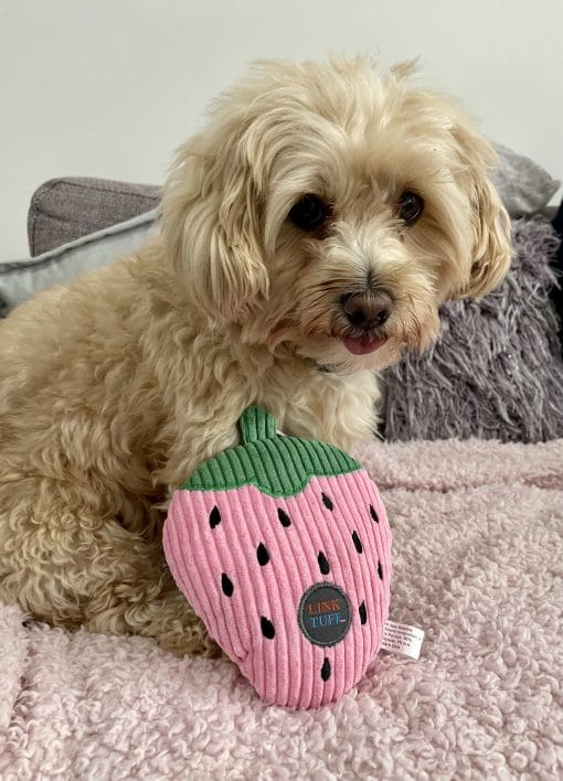 pawsandtails.pet- pink strawberry toy