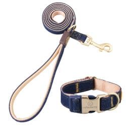 Demin Yellow Checked Lead - pawsandtails.pet