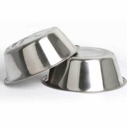 Twin Raised Stainless Steel Bowls