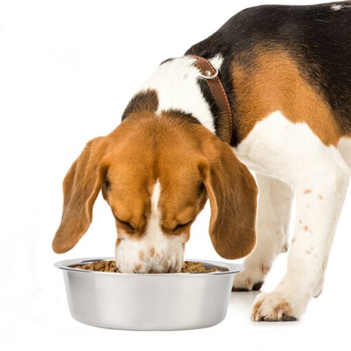 Single Stainless Steel Low Profile Pet Bowl