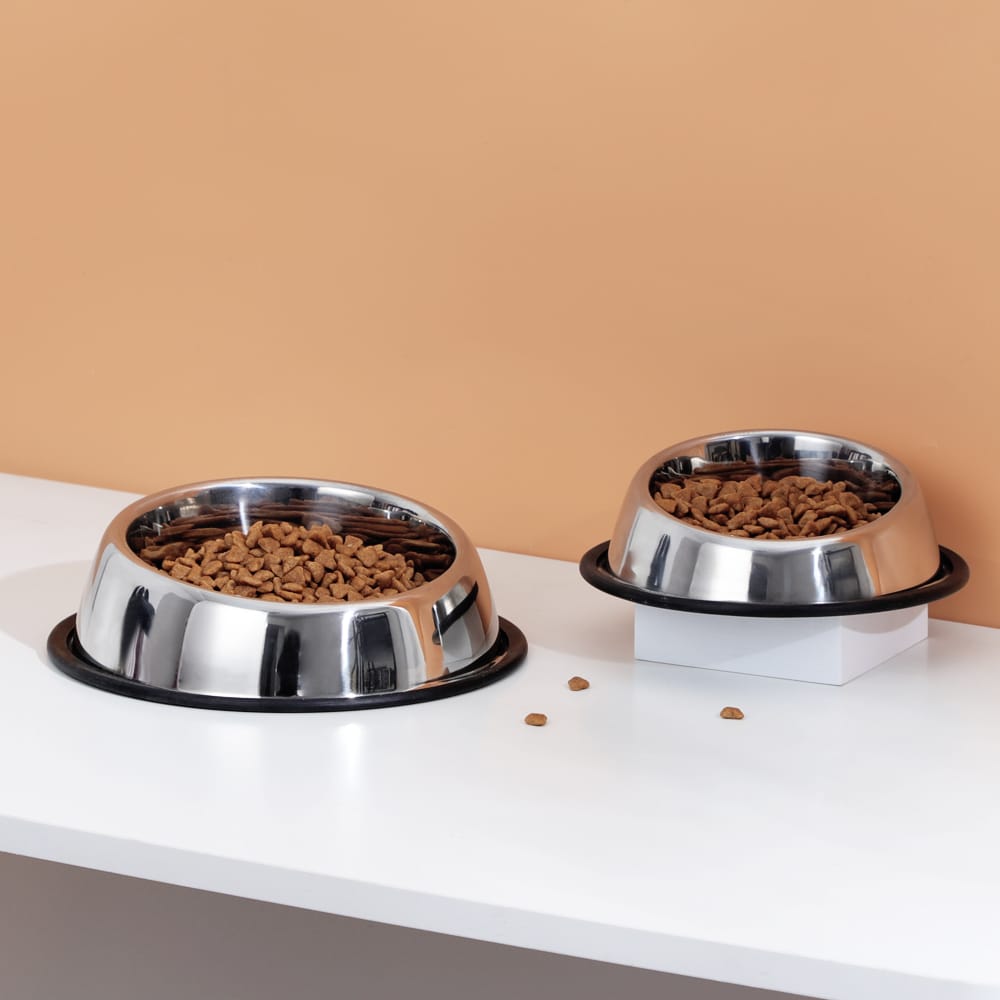 Single Stainless Steel Angled Pet Bowl