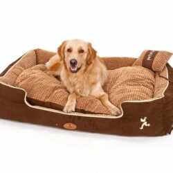 Soft Brown Pet Bed with Pillow