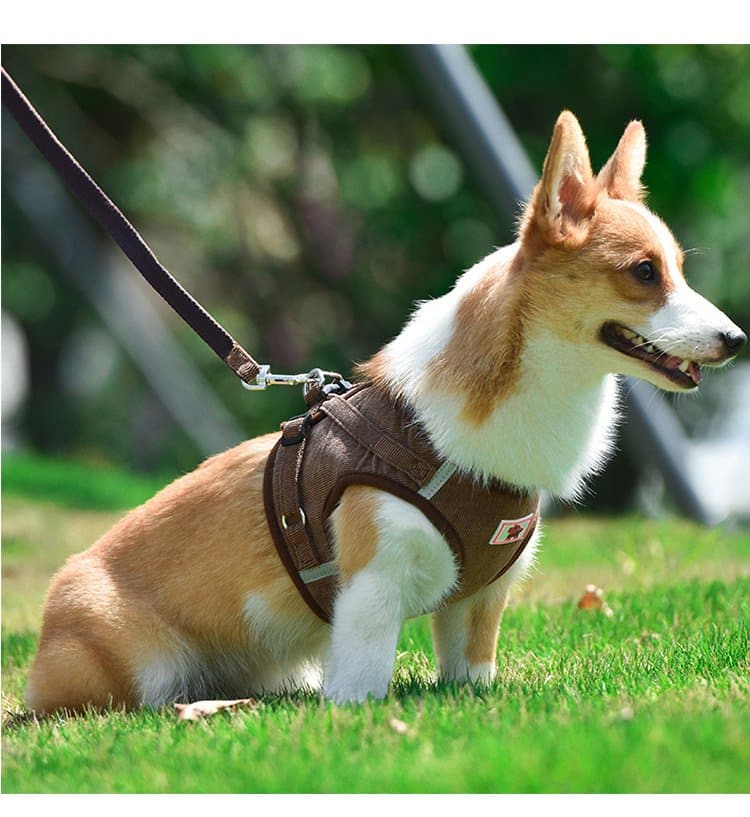 Non-Pull Dog Harness Vest with 1.2m Leash