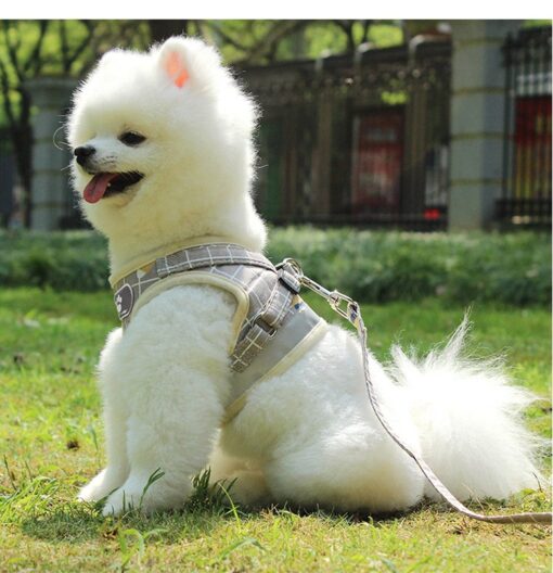 Small Dog Cat Harness with Leash