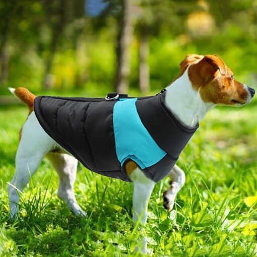Waterproof Dog Warm Padded Vest Coat