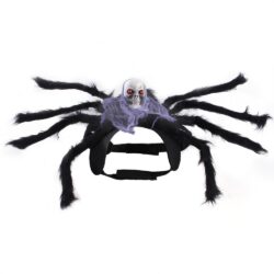 Skull Spider Costume