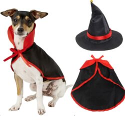 Hat and Cape Halloween Set