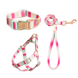 Pink Pastel Lines Harness, Lead, and Collar