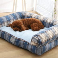 Tartan Blue Sofa Style Bed