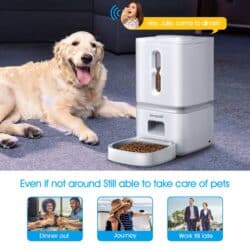 Automatic Pet Food Dispenser, Programmable with Audio recording