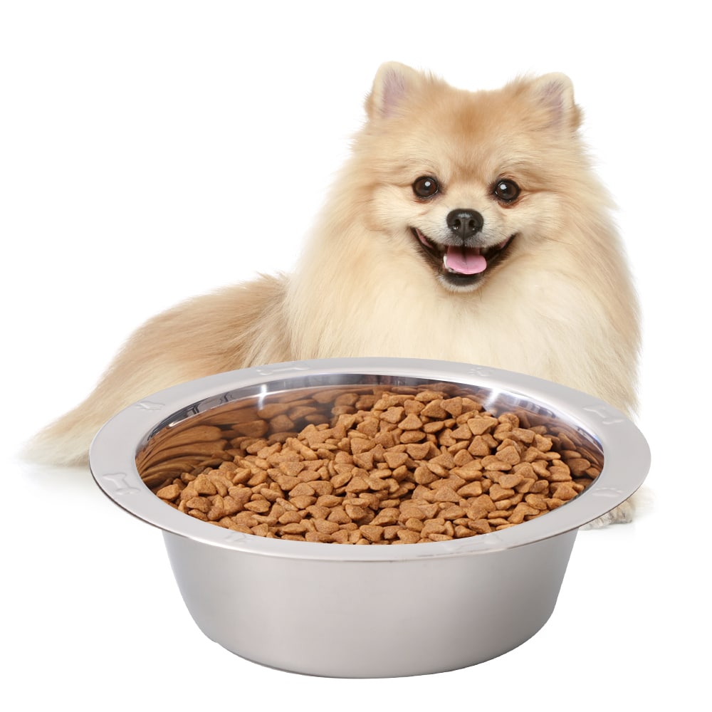 Single Stainless Steel Wide-Sided Pet Bowl