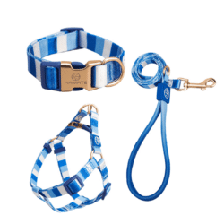 Blue Lines Harness, Lead, and Collar