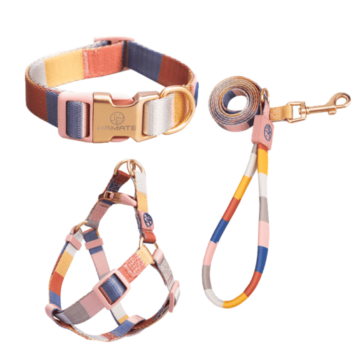 Brown Pastel Lines Harness, Lead, and Collar