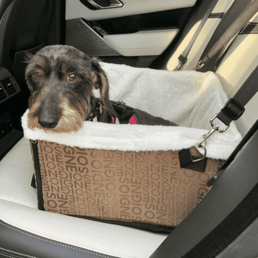 Luxury Car Pet Travel Carrier