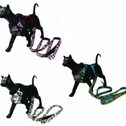 Cat Printed Harness and Lead