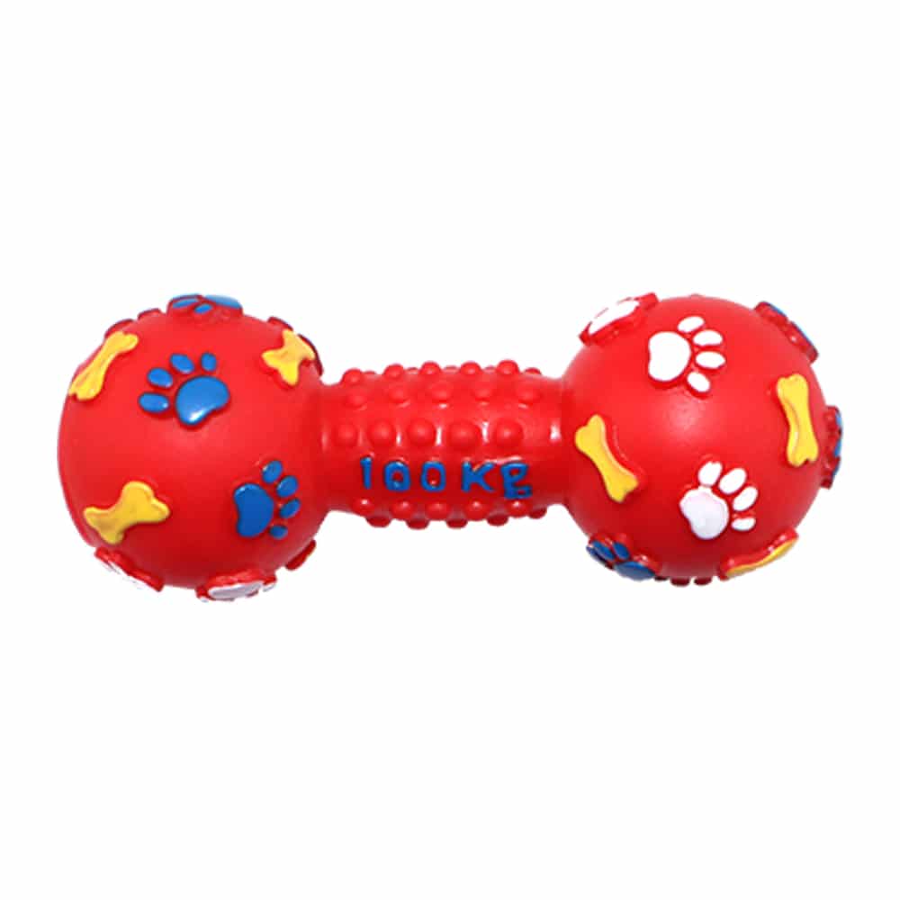 Paws and Bones Spikey Dumbbell - 3 Sizes