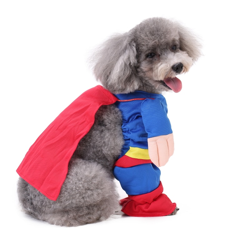 Superman Dog Costume - Paws and Tails