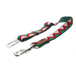 Green ZigZag Harness, Lead, and Collar
