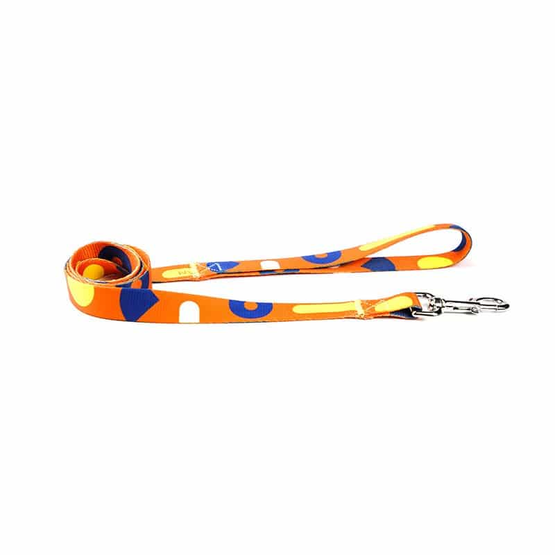 Orange Spotted Harness, Lead, and Collar