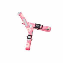 Pink Spotted Harness, Lead, and Collar