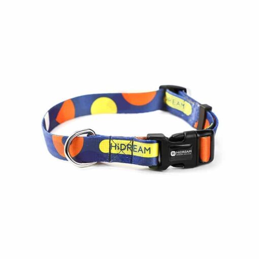 Blue Spotted Harness, Lead, and Collar