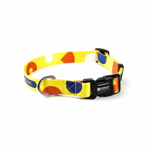 Yellow Spotted Harness, Lead, and Collar
