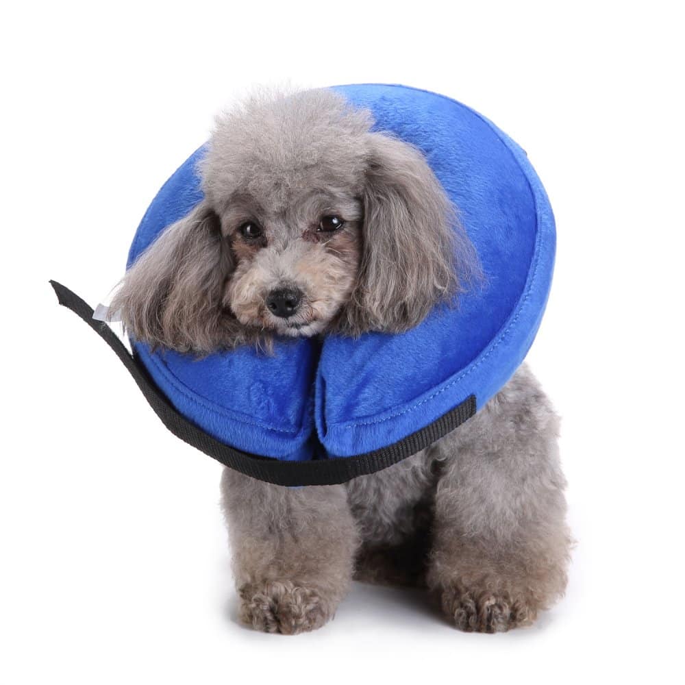 Pet Dog Cat Inflatable Collar Anti Scratch Head Cone