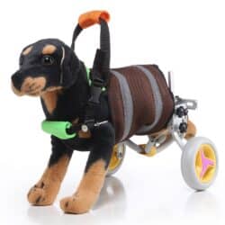 Small Dog Wheelchair, Adjustable Wheels, Lightweight Hind Legs