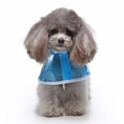 Dog Puppy Reflective Rain Coat