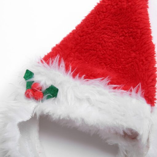 Christmas Santa Hat with Beard