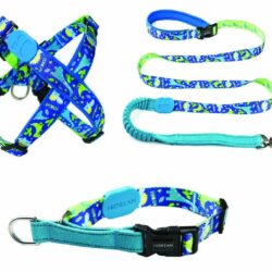 Jurassic Stamp Harness, Lead, and Collar