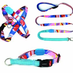Mountain Stamp Harness, Lead and Collar