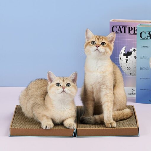Scratching Board Book Cat Toy
