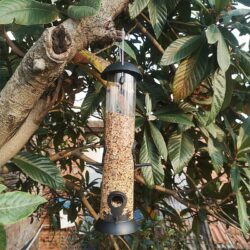 Bird Feeder Tube Seed Dispenser