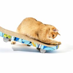 Skateboard Cat Scratching Board