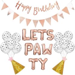 Birthday 'Lets Pawty' Balloon and Banner Set