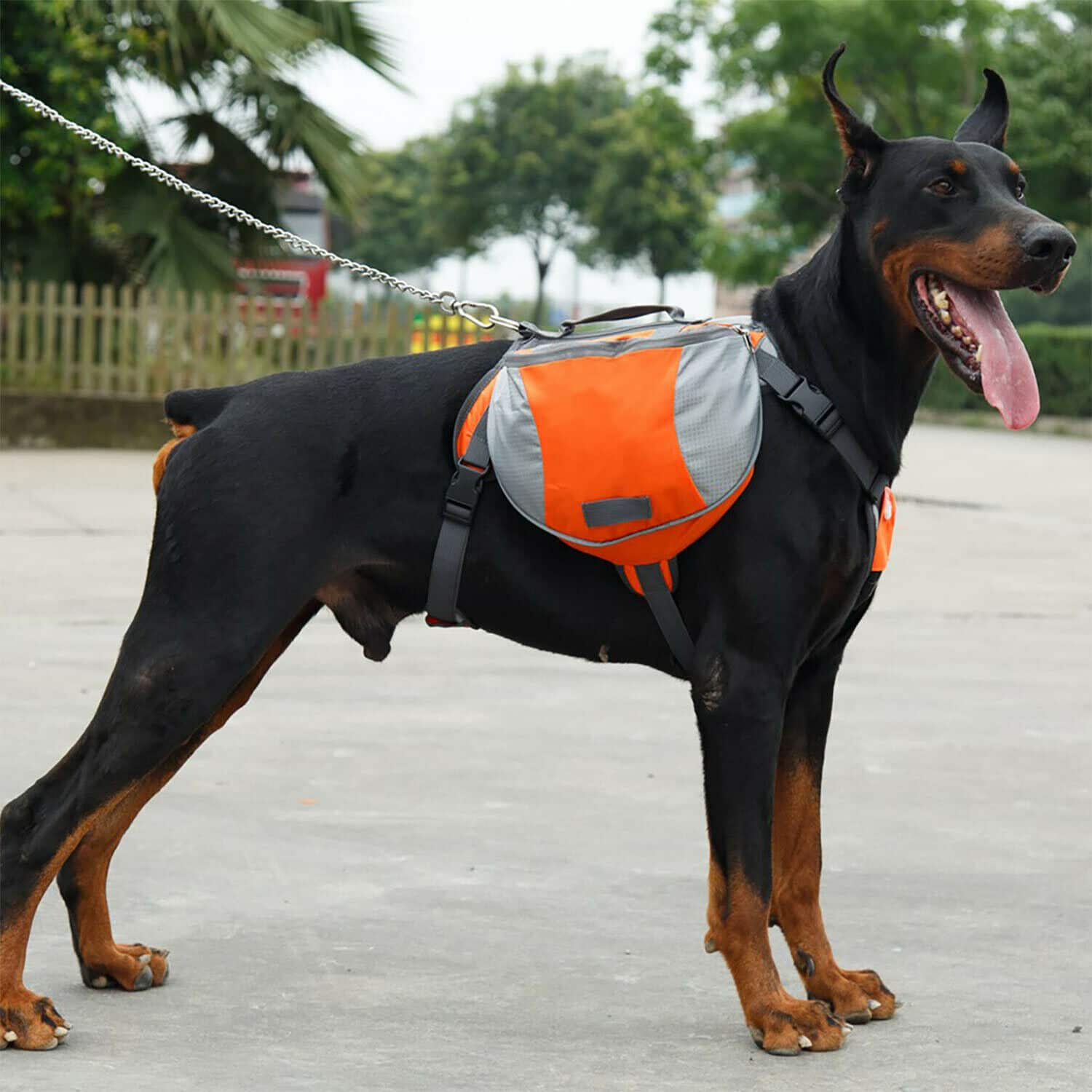 Dog Saddle Outdoor Harness Backpack