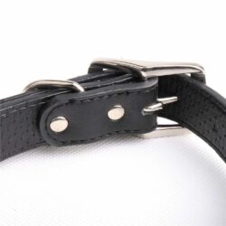 Leather Collar - Police Sheriff Style