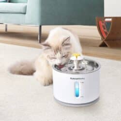 2.4L Automatic Pet Water Fountain with Nightlight