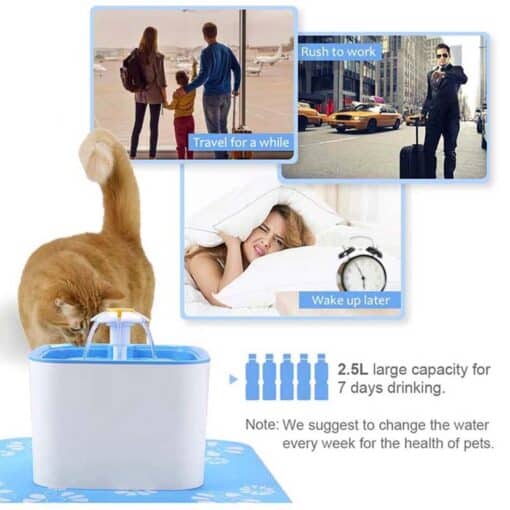 Pet Cat or Dog Flower Cube Water Fountain 2.5L with Silicone Mat