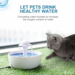 2l Automatic Mains-Powered Filtered Water Drinking Fountain