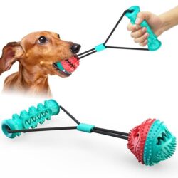 Double Interactive Treat Dispenser with Pull Training Ball