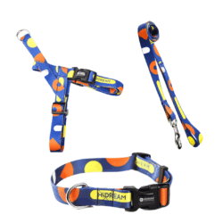 Blue Spotted Harness, Lead, and Collar