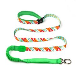 Dinosaur Green Stamp Harness, Lead, and Collar
