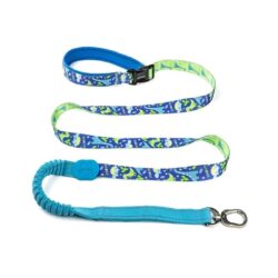 Jurassic Stamp Harness, Lead, and Collar