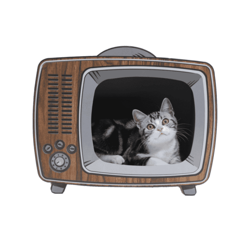 TV House Cat Scratching Board