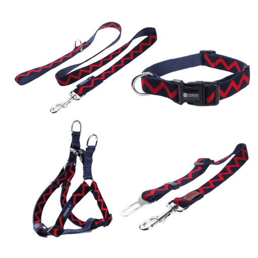 Blue ZigZag Harness, Lead, and Collar