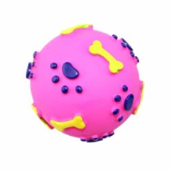 Squeaky Paw Print Dog Toy
