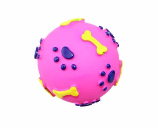Squeaky Paw Print Dog Toy